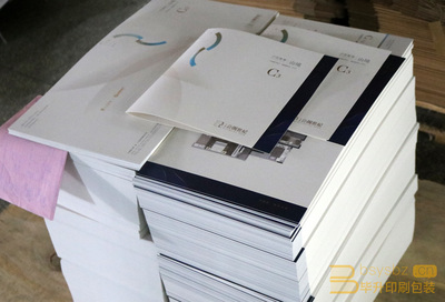 專業(yè)樓書印刷服務(wù) 仁恒公園世紀(jì)項目二折頁與樓書印刷方案解析