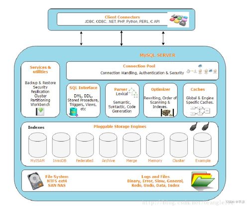 數(shù)據(jù)庫基礎(chǔ) 數(shù)據(jù)處理與存儲支持的基石